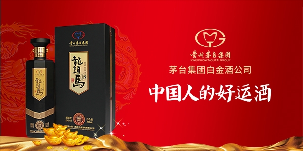 龍頭馬酒新產(chǎn)品設計品牌規(guī)劃方案