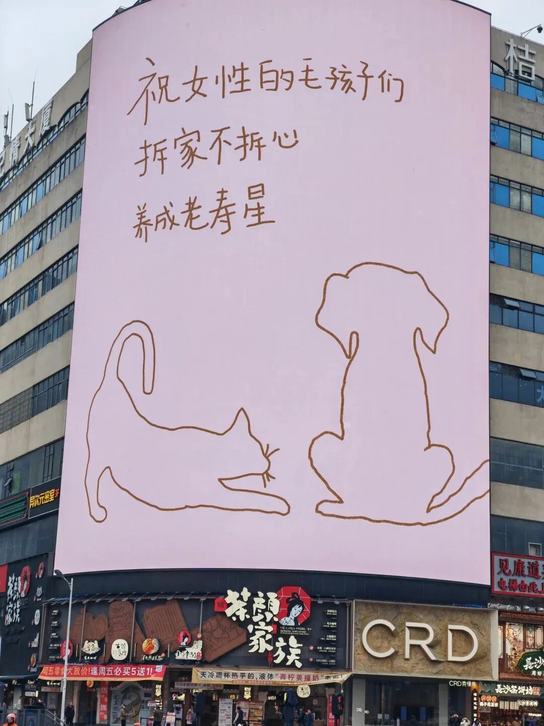 點品牌設(shè)計