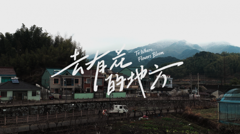 點(diǎn)品牌設(shè)計(jì)